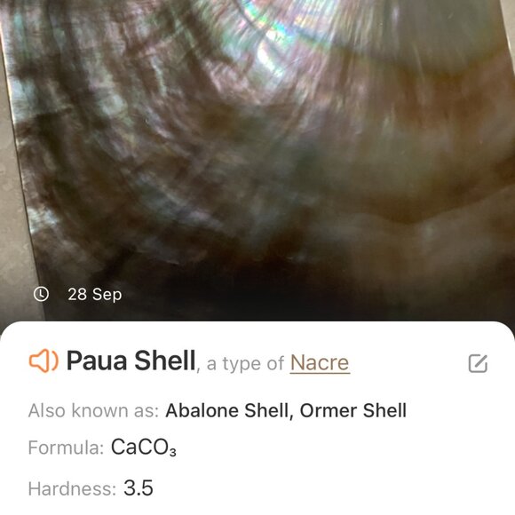 Rainbow Abalone Pendant & Dark Blue Mother of Pearl Bronze Link Long Necklace - Picture 14 of 15